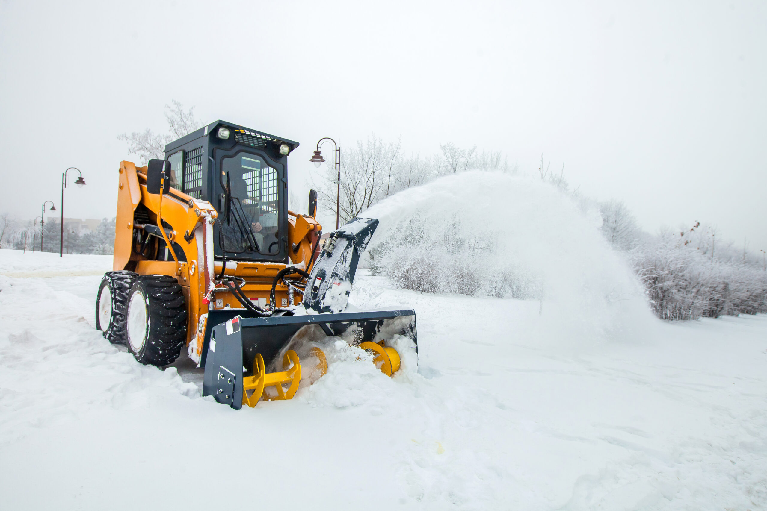 Clearing a rural driveway
