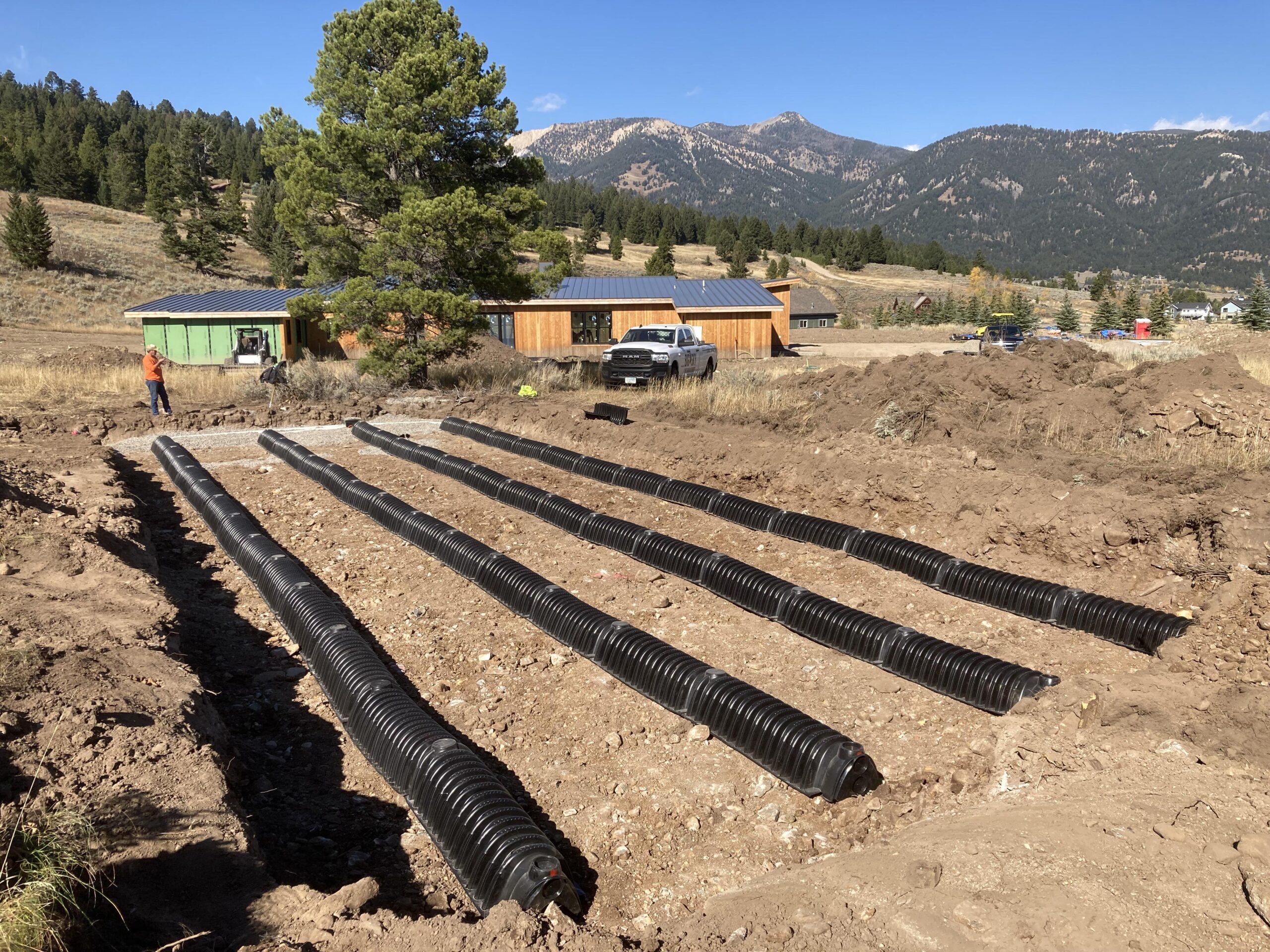 Septic field — lines in